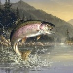 rainbow-trout-painting